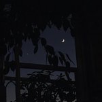 [댓글부탁해] 옷 중에 기본템 좀 말해줘 ㅠㅠ❤️