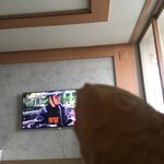 <b>신서유기</b> 보면서 붕어빵 머근ㄴ 중