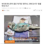 [이것좀봐줘] 토.끼.남. 1. 이번엔 <b>시바견</b>!!!