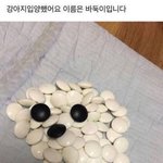 [드루와] <b>영자</b> 여자도 군대가라는 글은 안 썰음