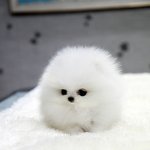 <b>오빵</b>~