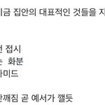 스<b>캐</b> 이거 ㄹㅇ 개소름 ㅠㅠㅠ