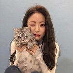 <b>와지</b> 보석함 보는데 ㅈㄴ 웃기다 ㅋㅋㅋ