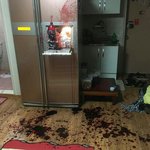 [19] 사람 죽여버렸어.. <b>어떡</b>해?