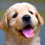 앙~