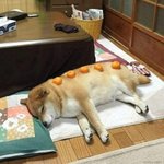 [댓글부탁해] 대치동 이런애들보면 현타<b>오지</b>않냐??