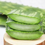 [EXO] 여드름 피부있냐