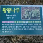 [드루와] ㅇㄴㅋㅋㅋㅋㅋ오늘 <b>제주</b>도가서 이거 봄