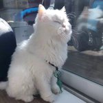 신기하거나 특이한 경험한 적 있음?