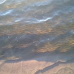 [댓글부탁해] 피부 때문에 죽겠는 사람 들어와봐