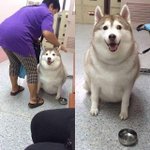 [댓글부탁해] 남자친구랑 헤어졌는데 내가 이상한걸까..하
