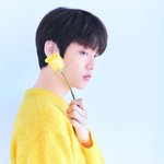 빅히트 신인