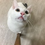 [EXO] 안냥하세용