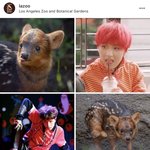 [NCT] 공계가 <b>푸두</b> 해찬이 좋아요 눌렀어