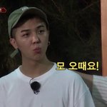 옷좀 <b>추천</b>해줘ㅠㅠ