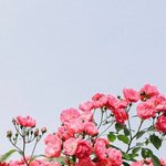 [드루와] <b>USB</b> 잘 아는 애들 들어와줘!!!