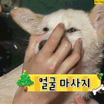 <b>실력멤</b>한테 뭐라고 하는 거 어이없음 ㅋㅋㅋ