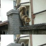 <b>얼음</b>공주야 보고싶다