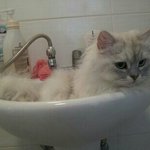 <b>얼음</b>공주 ㅁㅈ야