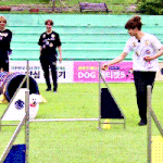 [방탄소년단] 머글))방탄막내의 요상한 애교들