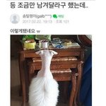 [드루와] 안 잘생겼는데 좋아할수있냐?