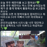 [NCT] 해외에 사는 시즈니가 <b>푸두</b> 해찬이 보고 온 영상!