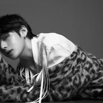 [방탄소년단] 태형이 <b>호피</b> 사진 좀 주라 ㅠㅠ
