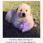 순수한썰<b>풀자</b>ㅋㅋㅋㅋ