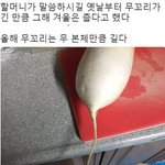 이번겨울너무안춥지않냐