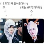 [EXO] ㅈㅁㅎㅇ <b>밥알</b>들