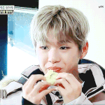 [강다니엘] 와앙 <b>욤</b>뇸뇸 강다니엘