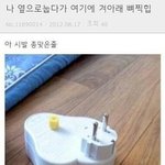[댓글부탁해] 오늘 나 대학합격 <b>발표</b>나옴ㅠㅠㅠ