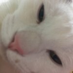 [EXO] 좀.. 부담스럽긔