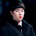 쌍수 추반
