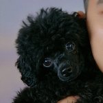 [EXO] 먹물이 넘 귀엽다ㅠ <b>후추</b>도 보고싶음ㅠㅠ