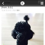 [EXO] 반려<b>동물</b>은 주인 닮았다는말이 진짜인게