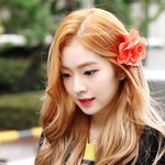배<b>주현</b>