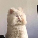 [댓글부탁해] 나스 <b>블러</b>쉬 살껀데