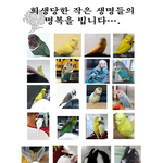 [꼭봐주세요] 지하철 토끼남 국민청원 <b>동참</b>해주세요