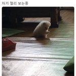 <b>인싸</b>아싸 나눠져있는데 짝사랑 성공가능성 없니