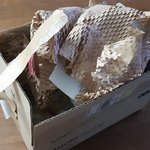 내 생애 첫 친환경기업