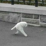 [스카이<b>캐슬</b>] 스카이<b>캐슬</b> 오프닝 황교수만 조명 다른거아냐??
