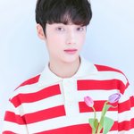 [TXT] 휴닝이 튤립 <b>꽃말</b>