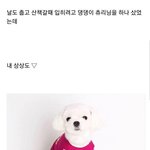 [드루와] 내가 귀여운거 <b>보여</b>줄개