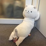 성공과<b>발전</b>을기원하며