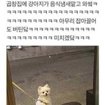 손마디 뼈 붉은 거 ㅈㄴ <b>발림</b>