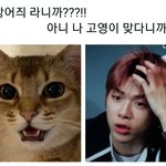 [강다니엘] <b>오리</b>×강다니엘 시리즈 2