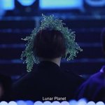 [강다니엘] 아니 이 <b>화분</b> 왤캐 커?