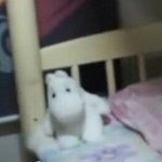 <b>라비앙로즈</b> 첨 봤는데
