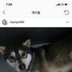 [드루와] 얘들아 얘네 오늘 죽는대ㅠ 빨리 톡선보내자